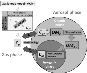Fig. 1. Conceptual structure of the UNIPAR model. α i,j is the mass-based stoichiometric coefficient