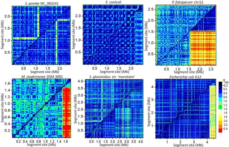 Table 3. Intra-chromosome similarity indexes.