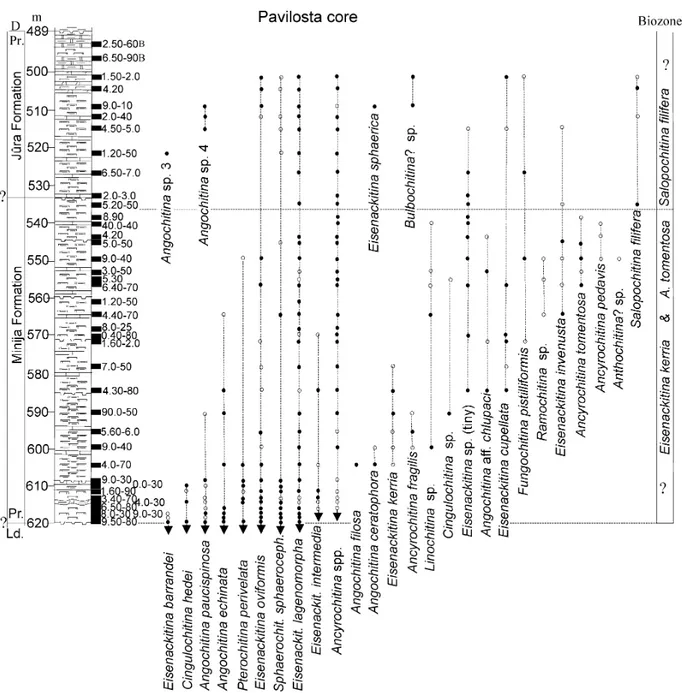 Fig. 5. Lithological log (compiled after Gailite et al. 1987 and unpublished description of H