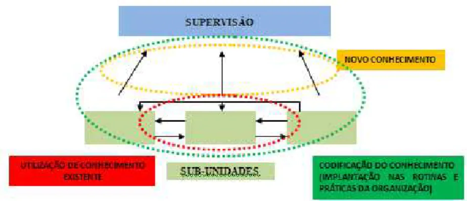 Figura 6. Fluxo de conhecimento de acordo com a criação, codificação e uso. 