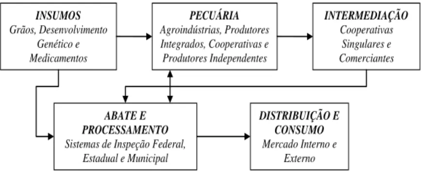 Figura 11. Representação sintética da cadeia suinícola brasileira. 