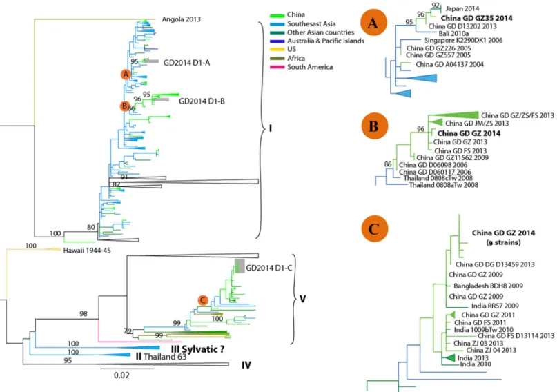 Fig 2. Phylogenetic tree of dengue virus serotype 1 (DENV-1) sequences from Guangzhou compared with other DENV-1sequences deposited in GenBank