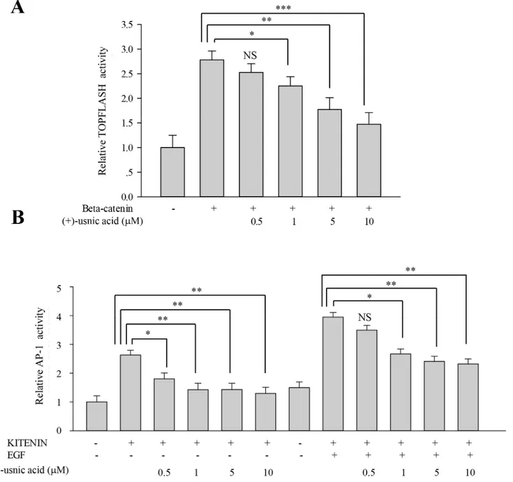 Fig 4. (+)-Usnic acid decreases β-catenin-mediated TOPFLASH activity and KITENIN-mediated AP-1 activity