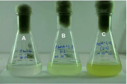 Table 1. List of bacterial strains used in the present study.