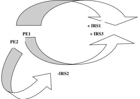 Figura 4.8: Diagrama de enlace causal, modelo hipotético, para análise dos projetos de extensão  sobre os indicadores de Responsabilidade Social