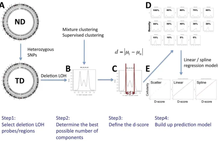 Figure 2. B allele frequency (BAF) and log R ratio (LRR) plots for a region of LOH with changing tumor cellularity