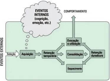 Figura 2 - A memória humana 