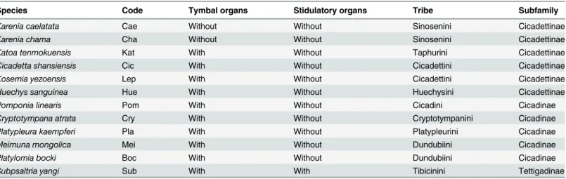 Table 1. Twelve cicada representatives of the three subfamilies of Cicadidae investigated in this study.