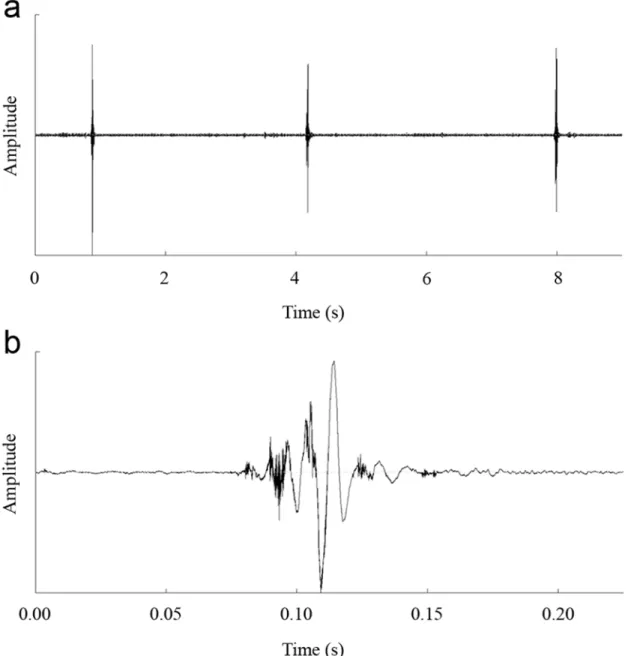 Fig 4. Oscillograms of sounds recorded from male K. caelatata after ablation of the costas of forewings