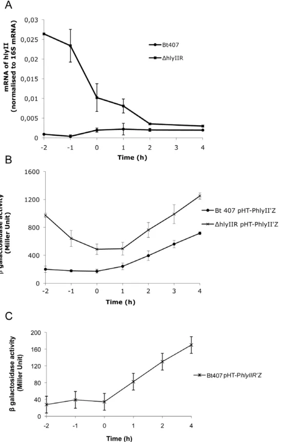 Figure 1. HlyIIR negatively regulates hlyII expression in B. cereus . (A) Expression levels of the target hlyII gene relative to the endogenous standard 16S RNA were measured by RT-qPCR throughout bacterial growth in the wild type Bt407 (circle) and the Bt