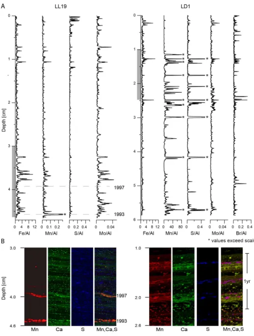 Figure 5. (a) High-resolution elemental profiles of Fe / Al, Mn / Al, S / Al, Mo / Al and Br / Al (only LD1) generated by LA-ICP-MS line scanning for resin-embedded surface sediment blocks