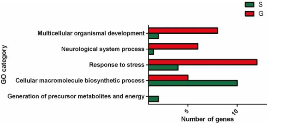 Figure 2. Classification of the annotated differentially expressed genes under GO categories