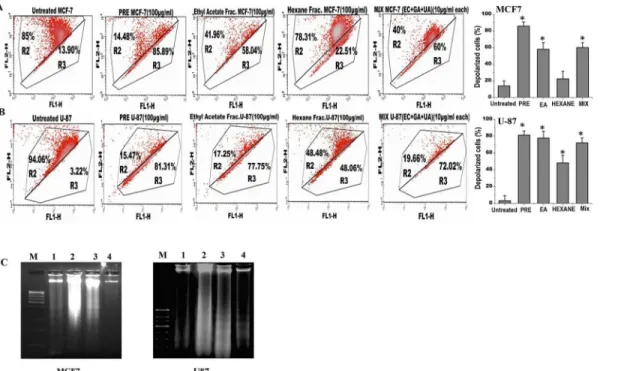 Fig 4. Analysis of apoptosis in (A) MCF7 and (B) U87 cells by measuring the mitochondrial membrane potential after JC1 staining in untreated and treated with PRE, EA, Hex fractions and mixture of EC+GA+UA of EA fraction of P