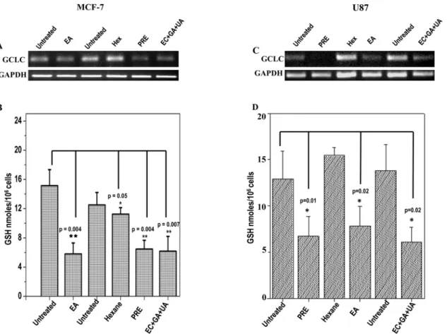 Fig 6. Expression pattern of GCLC in (A) MCF-7 cells and in (C) U87 cells treated with or without PRE, EA, Hex fractions and mixture of EC+GA +UA