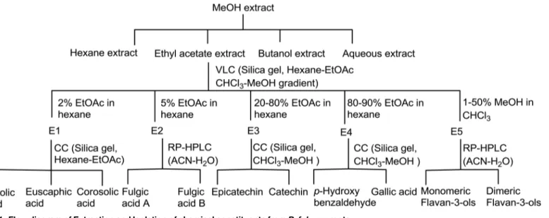 Fig 1. Flow diagram of Extraction and Isolation of chemical constituents from P. fulgens roots.