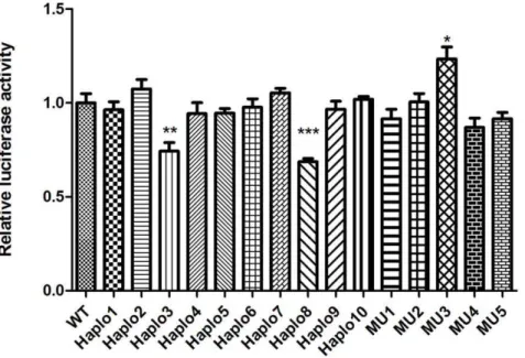 Figure 1. Expression of the human CYP2D6 reporter constructs in the human hepatoma cell line (HepG2)