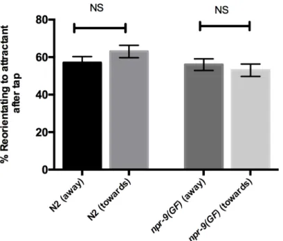 Fig 8. Inducing reversals with plate tap stimulation does not negatively affect chemotaxis