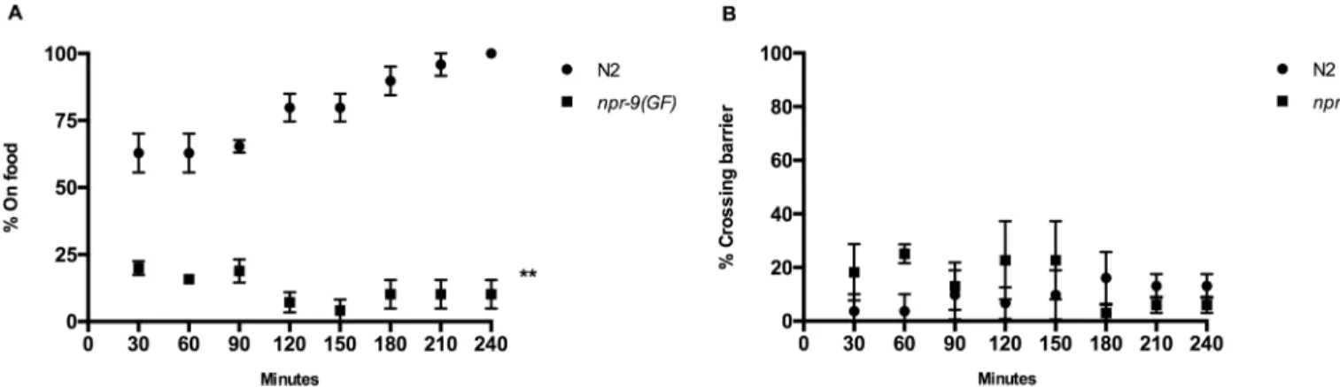 Fig 9. npr-9(GF) does not integrate food cues to modulate locomotory and aversive behavior to copper