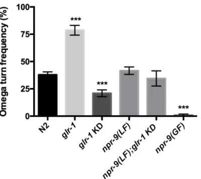 Fig 2. Glutamate is a key regulator of omega turns. N2, glr-1(LF), glr-1 KD, npr-9(LF), npr-9(LF);glr-1 KD, and npr-9(GF) were tested for the frequency of reversals that terminate with an omega turn during off food conditions Data are presented as mean +/-