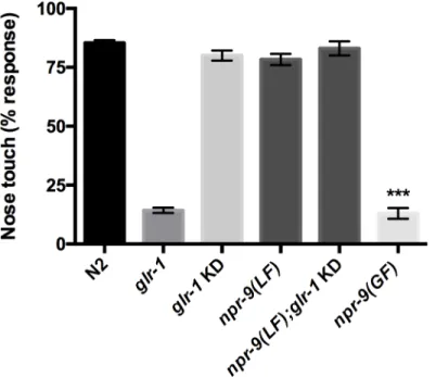 Fig 3. Over-expression of npr-9 inhibits nose touch responses. Wildtype, glr-1(LF), glr-1 KD, npr-9(LF), npr-9(LF);glr-1 KD, and npr-9(GF) were evaluated for ability to respond to nose touch stimulation