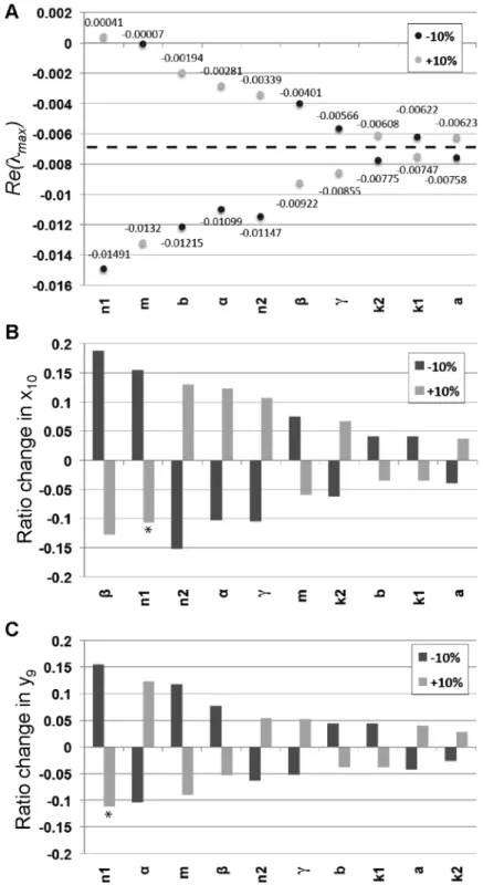 Figure 7. Parameter sensitivity analysis. (A) The values of Re(l max ) are shown for all the parameters of the model with variations of +10% in each of the parameters