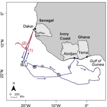 Fig 2. Example of vessel (blue line) and buoy (red line) trajectories inferred from VMS and buoy GPS positions, respectively