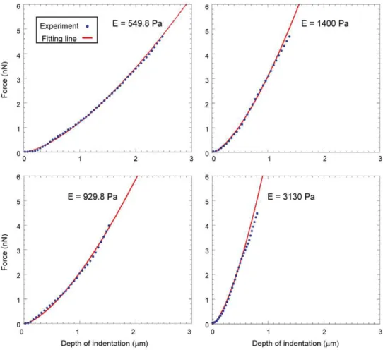 Fig. 3A shows an image of the virtual reality system of cell indentation manipulation