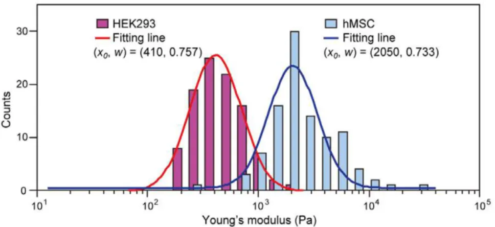 Figure 7. Histogram of the Young’s modulus distribution of a single hMSC measurement. A single hMSC was measured 100 times.