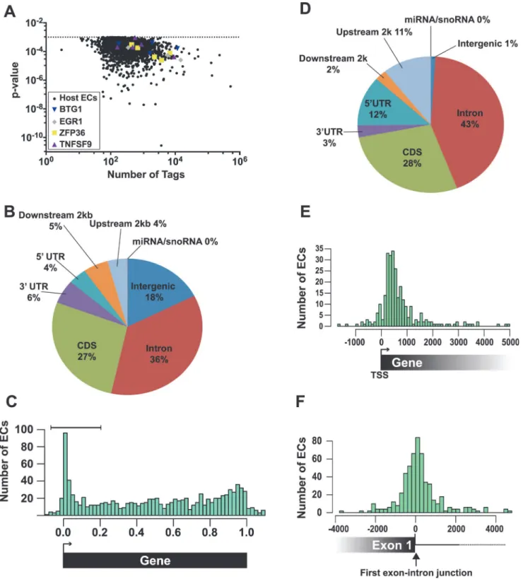 Fig 4. Identification and characterization of enriched clusters mapping to the human genome