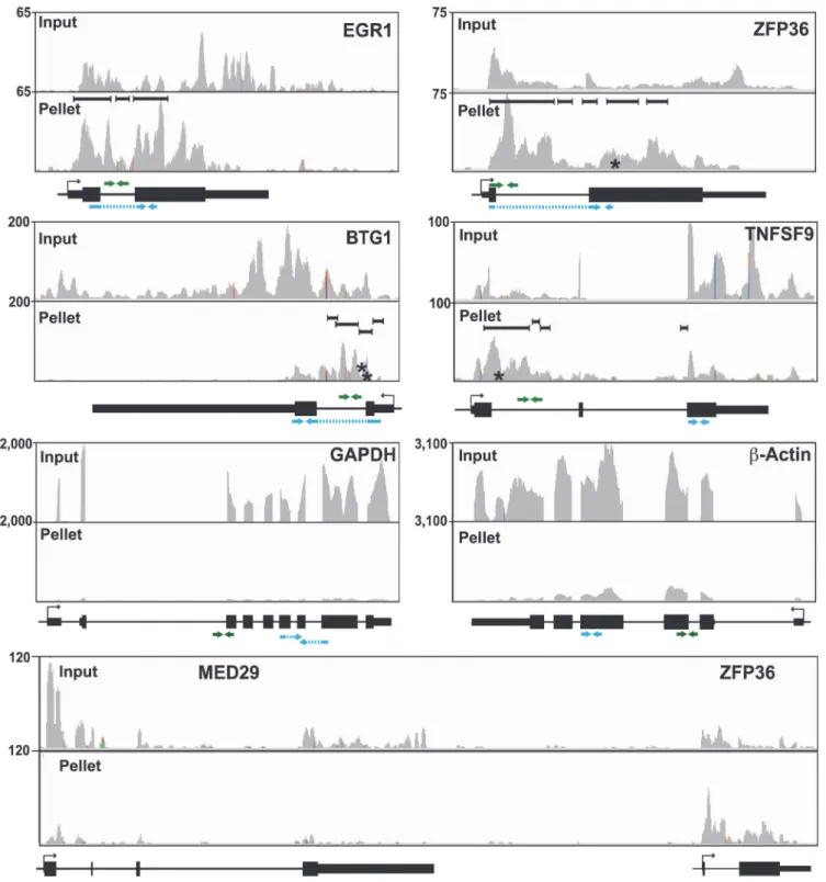 Fig 5. Sequence traces of ORF57-bound human RNAs. Each panel is a screen shot (IGV browser [105]) of the input and pellet samples from one biological replicate