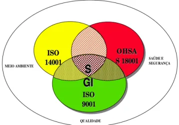 Figura 3: Elementos de um Sistema de Gestão Integrado – SGI. 