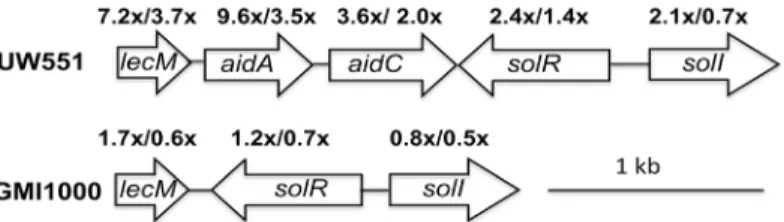 Fig 2. A cluster of genes adjacent to those encoding the SolI/R quorum sensing system were up- up-regulated in R
