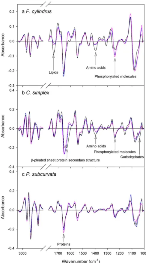 Figure 2.  Average second derivative spectra.  The average second derivative spectra of F