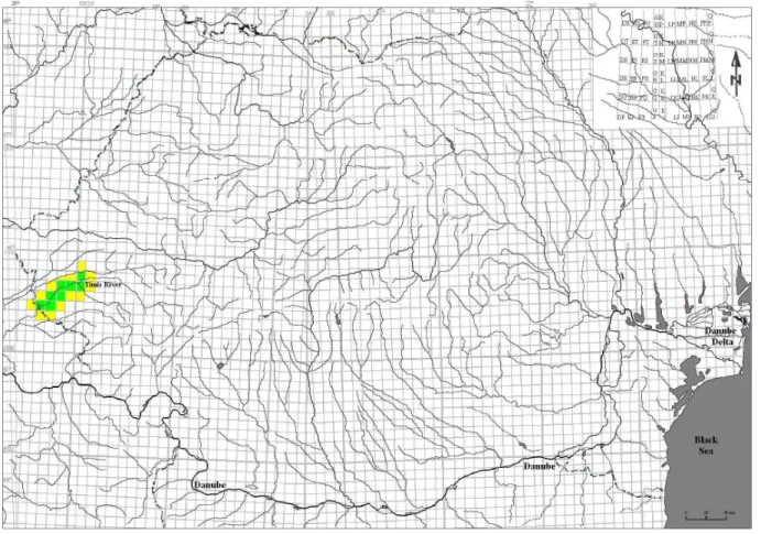 Figure 1. Natura 2000 (SCI) proposed site ( ); buffer zone ( ) for Gobio albipinnatus  on the Lower Timiş River (Lehrer &amp; Lehrer 1990 - modified by the author)