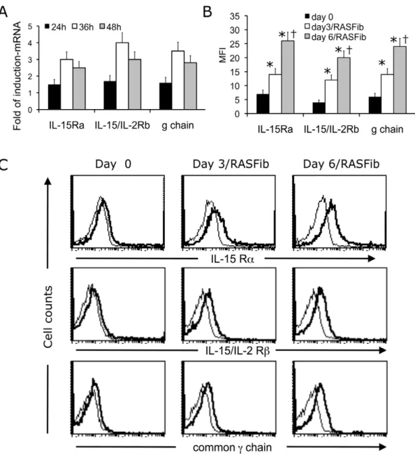 Figure 3. Effect of IL-15 neutralizing agents and of exogenous rhIL-15 on the survival of B cells cocultured with RASFib