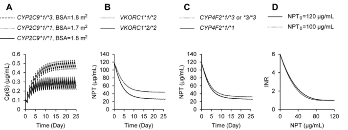 Figure 4). Regarding the relationship between Cp(S) and NPT, genotypes of VKORC1*2 and CYP4F2*3 were extracted as significant predictors for IC 50 , i.e., IC 50 being 2.1 and 1.3 times larger in patients with the VKORC1*1/*2 and CYP4F2*1/*3 &amp;