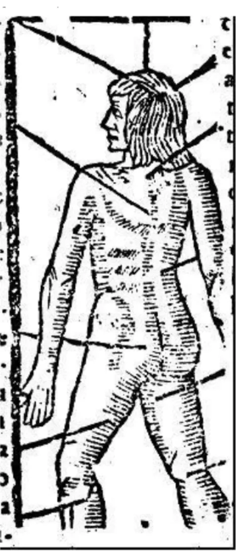 Figura 4: Xilogravura indicativa das sangrias   segundo Cortés (1606).