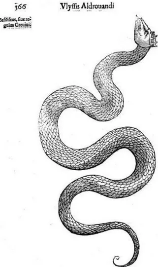 Figura 1: gravura do Basilisco em forma de serpente (“régulo  coroado”) segundo Aldrovandi (1640, p