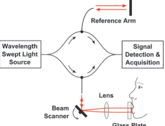 Fig 1. A schematic of the fiber-optic SS-OCT instrument for lip mucosa imaging.