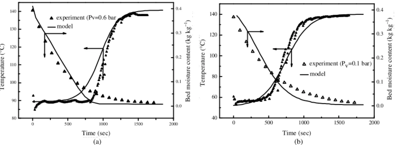 Fig. 8:  Comparison  of experimental  and  numerical  curves  during  humid  air  drying  ((a)  P v  = 0.6 bar  and (b)  P v = 0.1 bar): T g  = 140°C, V g  = 2 m sec −1 , d = 4.3 mm, Z = H/2 and H = 8 cm 