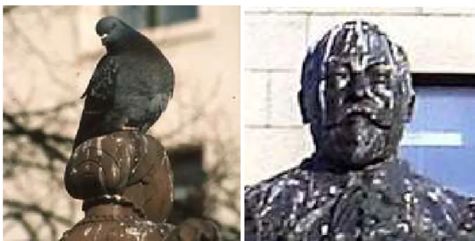 Fig. 2. A bird-soiled statue 