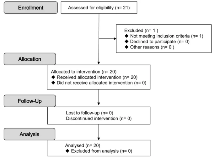 Figure 1. CONSORT flow diagram.