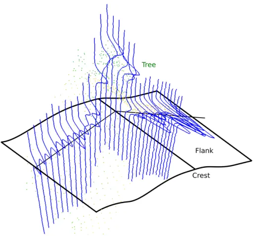 Fig. 2. 3-D representation of georeferenced waveforms on a crest. A tree is lying on the crest.