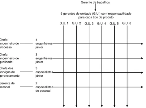 Figura 8: Exemplo típico de organizações matriz. Fonte: Dawson (1996). 