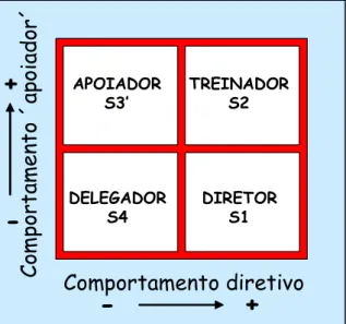 Figura 9: Comportamentos e estilos de liderança. 