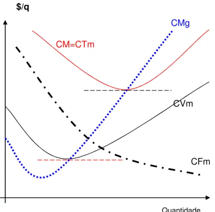 Fig. 2.5 - Curvas Típicas de Custos Unitários 