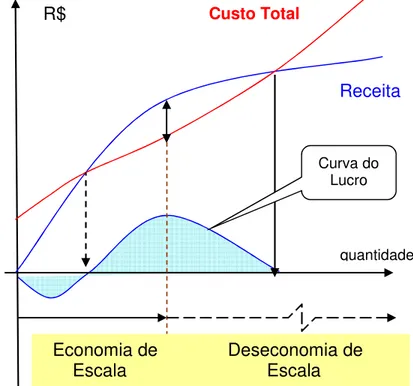 Fig. 2.11 – Maximização do Lucro 