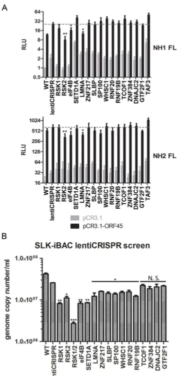 Fig 8. CRISPR screen characterizes the contributions of putative RSK substrates to ORF45/RSK- ORF45/RSK-mediated transactivation and KSHV progeny virion production