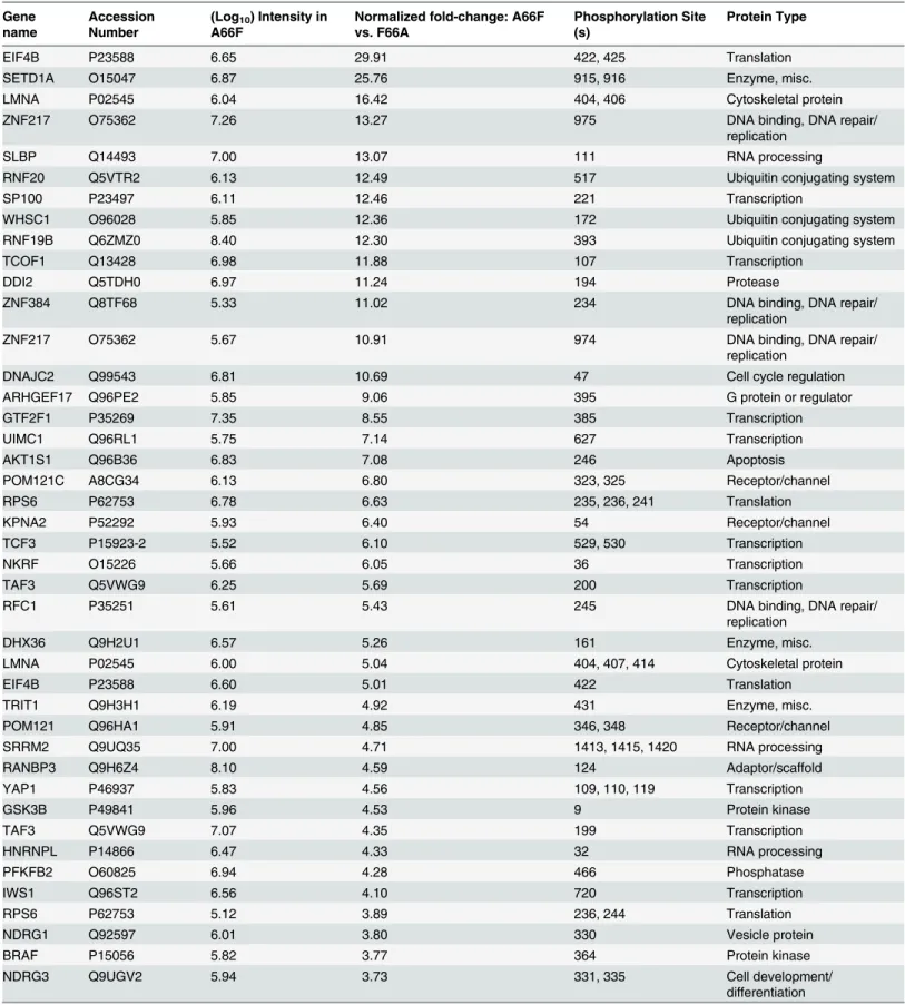 Table 1. List of genes representing the phosphopeptides identified by the phosphoproteomic screening with the highest fold-change in phosphor- phosphor-ylation between A66F and F66A.