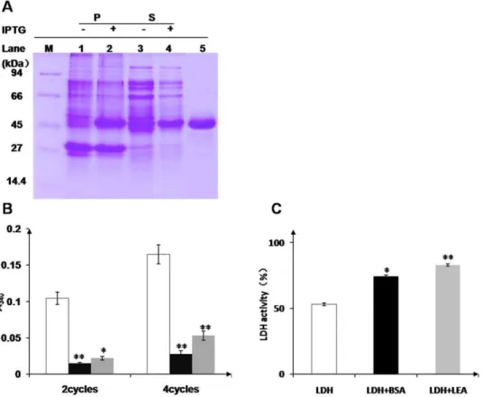 Figure S1 The OsLEA3-2 cDNA sequence and its deduced amino acid residues. The asterisk shows the stop code, the polyadenylation signal sequence (AATAAA) is underlined